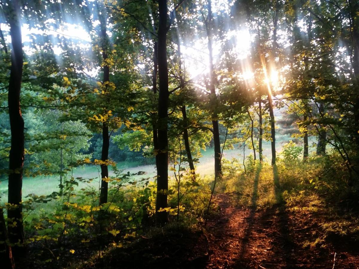 Appartamento Bialy Domek Wisła Esterno foto