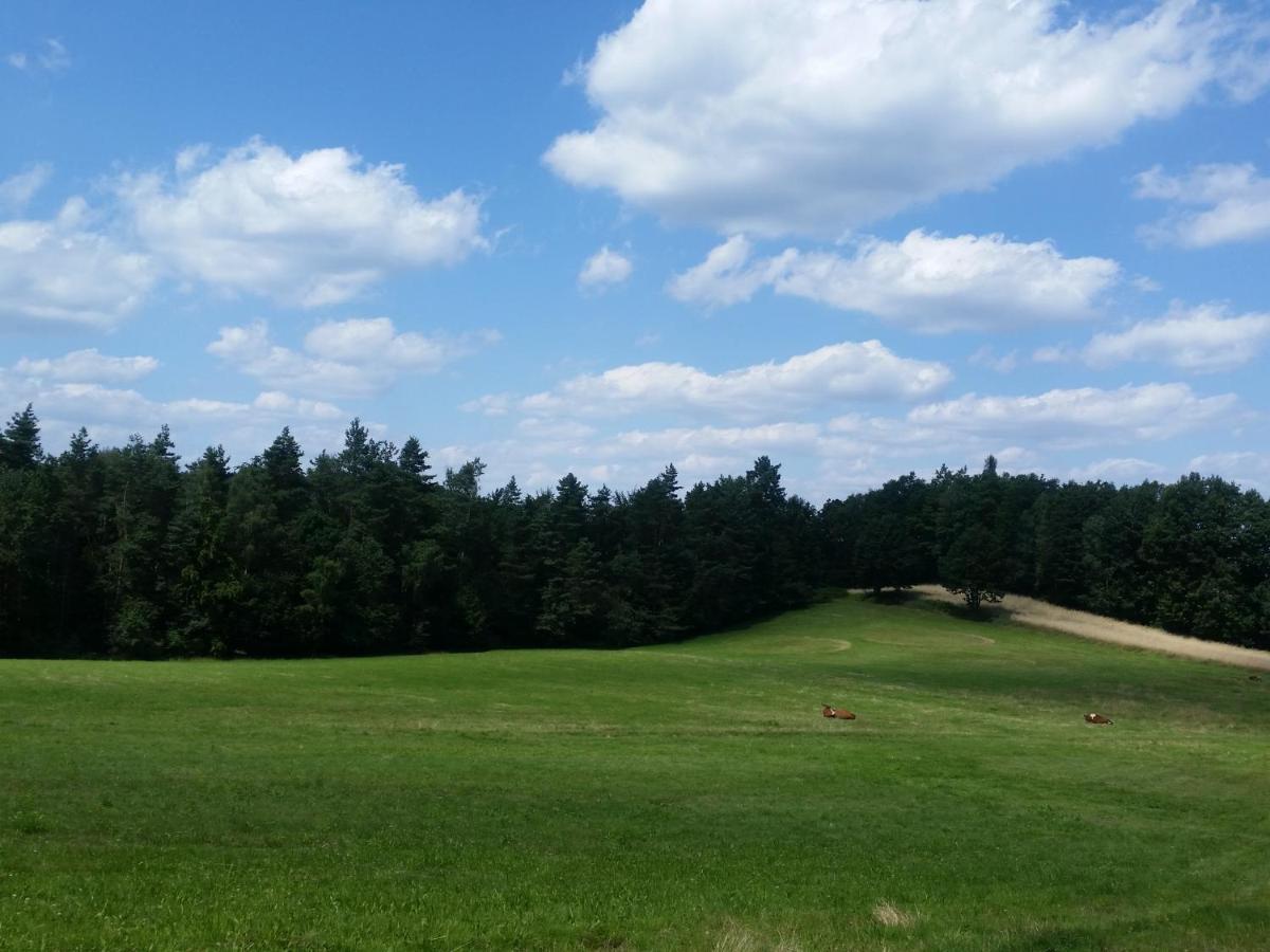 Appartamento Bialy Domek Wisła Esterno foto