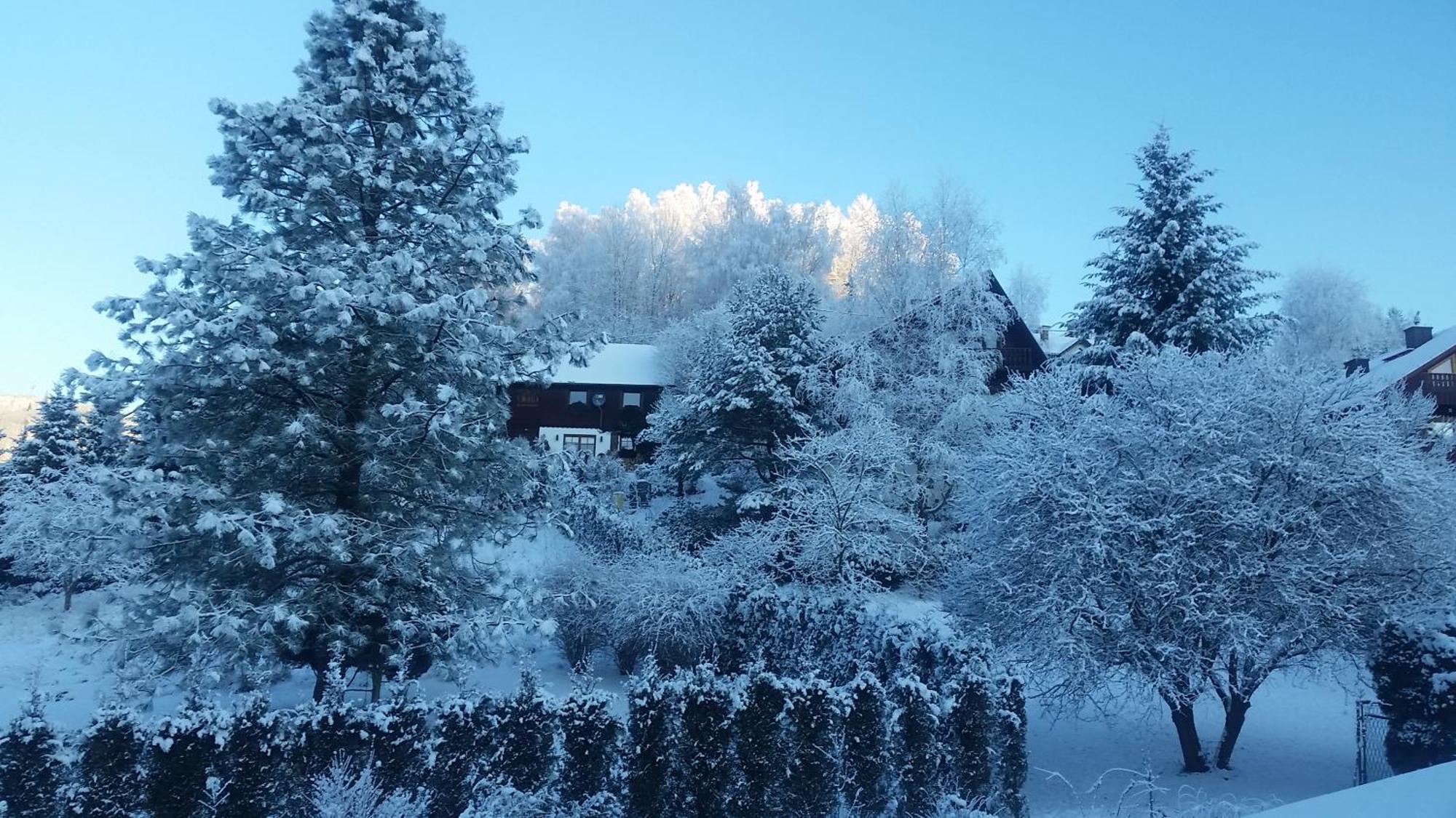 Appartamento Bialy Domek Wisła Esterno foto